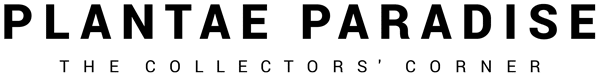 Plantae Paradise