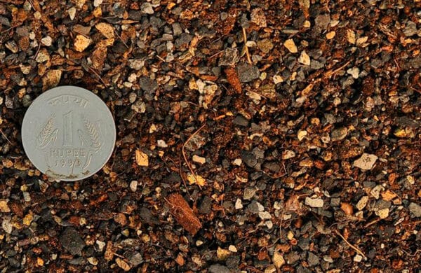 prickly-perfection-soil-guide