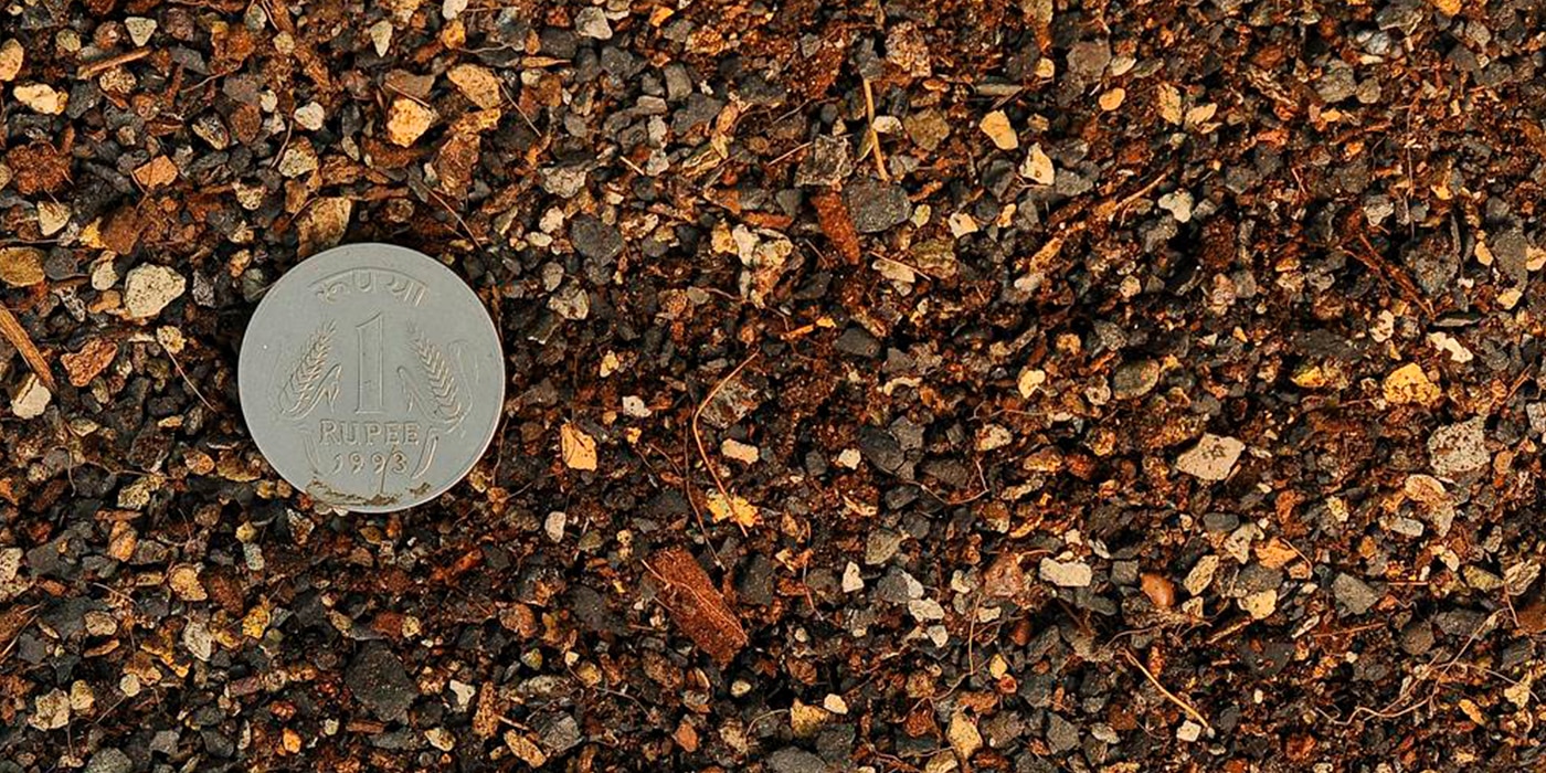 prickly-perfection-soil-guide