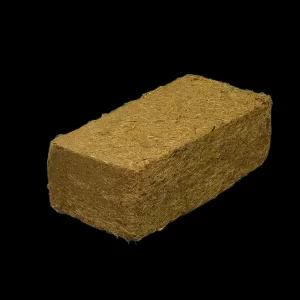 cactus-growing-media