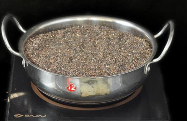 how-to-grow-cactus-seeds