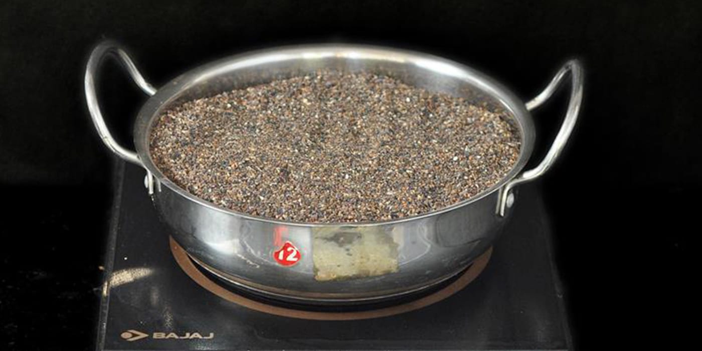 how-to-grow-cactus-seeds