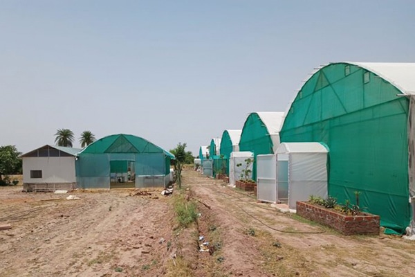 Plantae Paradise Nursey in Panchkula